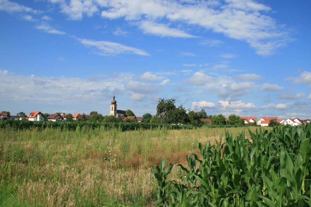 Apartmán Odas Feriendomizil Europapark Kappel-Grafenhausen Exteriér fotografie